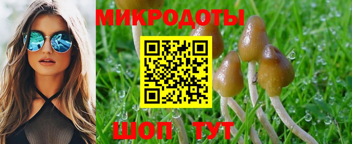 Псилоцибиновые грибы мухоморы  Псилоцибиновые грибы прущие грибы  Шахты  Вход с VPN 